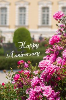Happy Anniversary Card