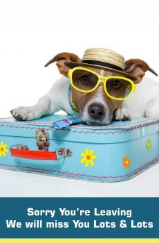 Bon Voyage Card