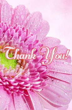 Thank You Card