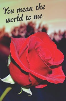 You mean the world to me